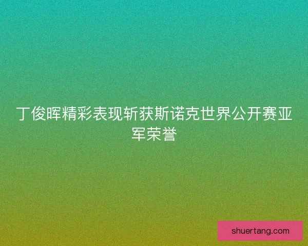 丁俊晖精彩表现斩获斯诺克世界公开赛亚军荣誉
