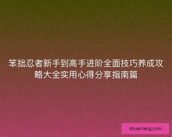 笨拙忍者新手到高手进阶全面技巧养成攻略大全实用心得分享指南篇